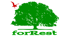 Кафе Forrest